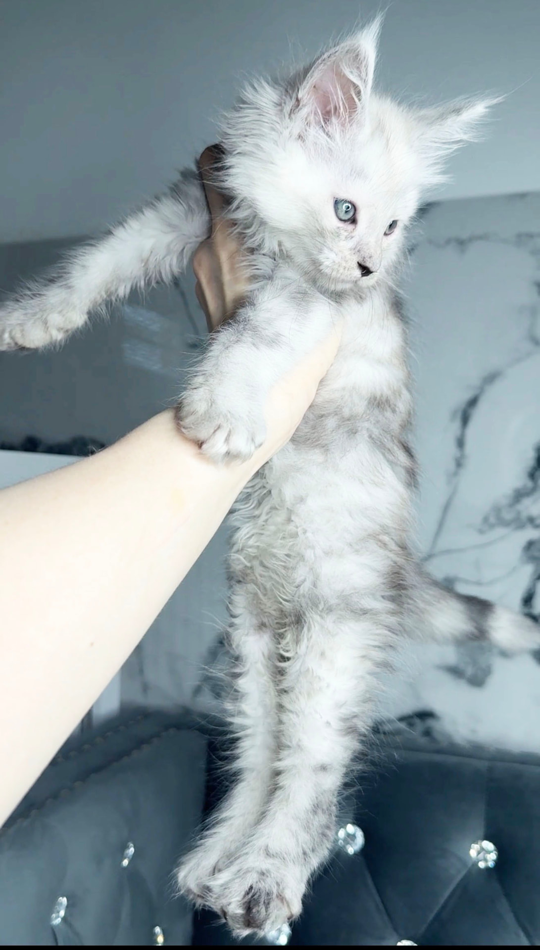 Appa, photo 3