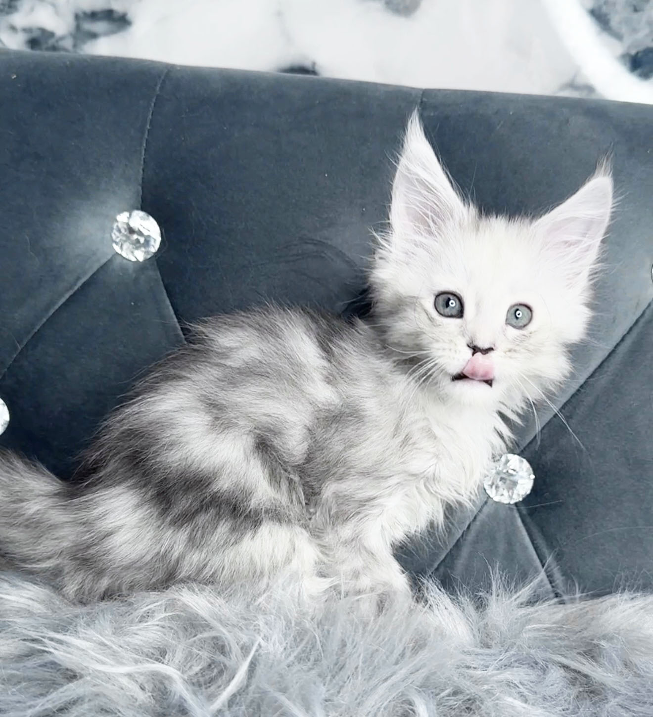 Nimbus, photo 2
