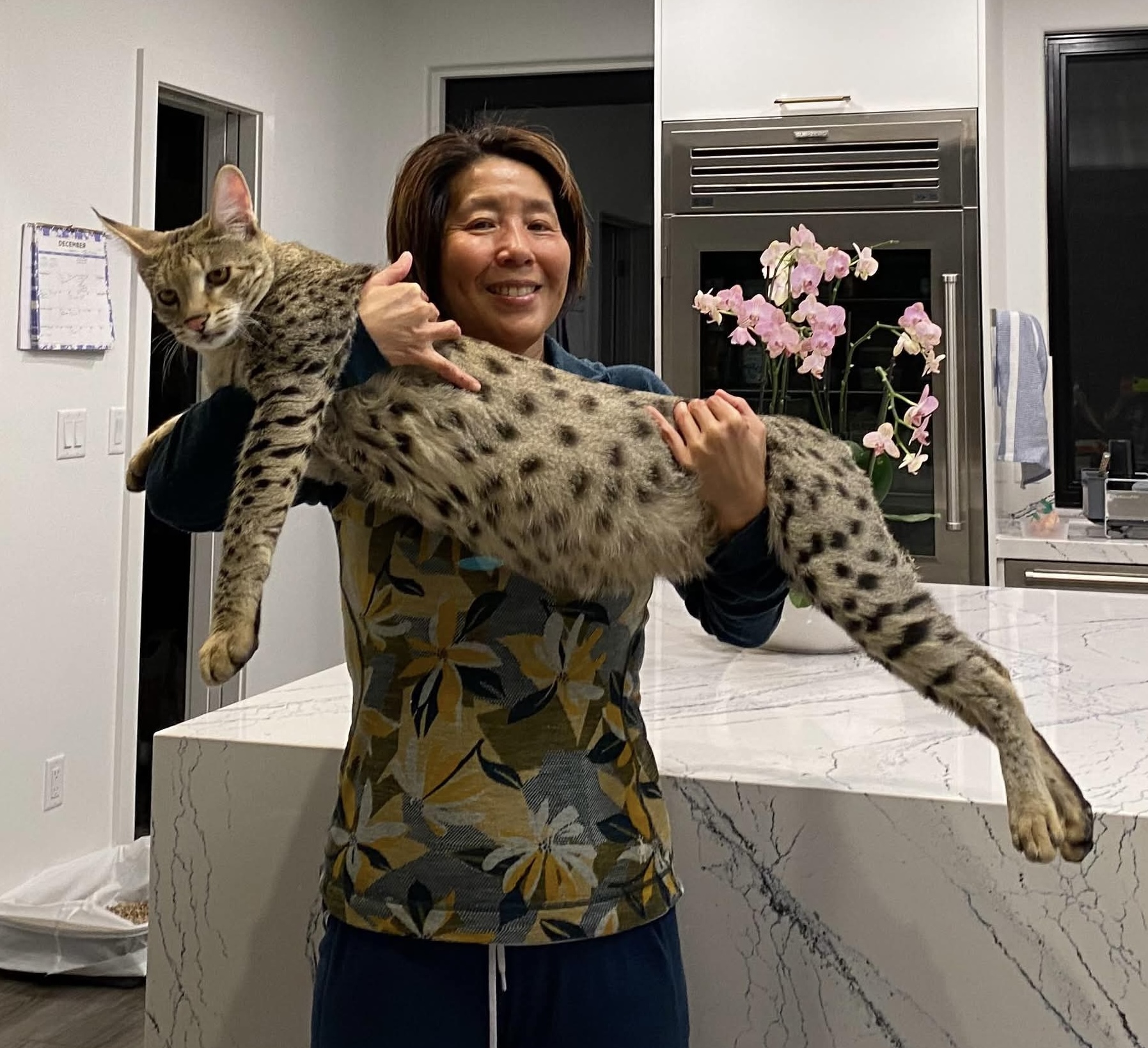 Max held in his owner's arms, showing his impressive length