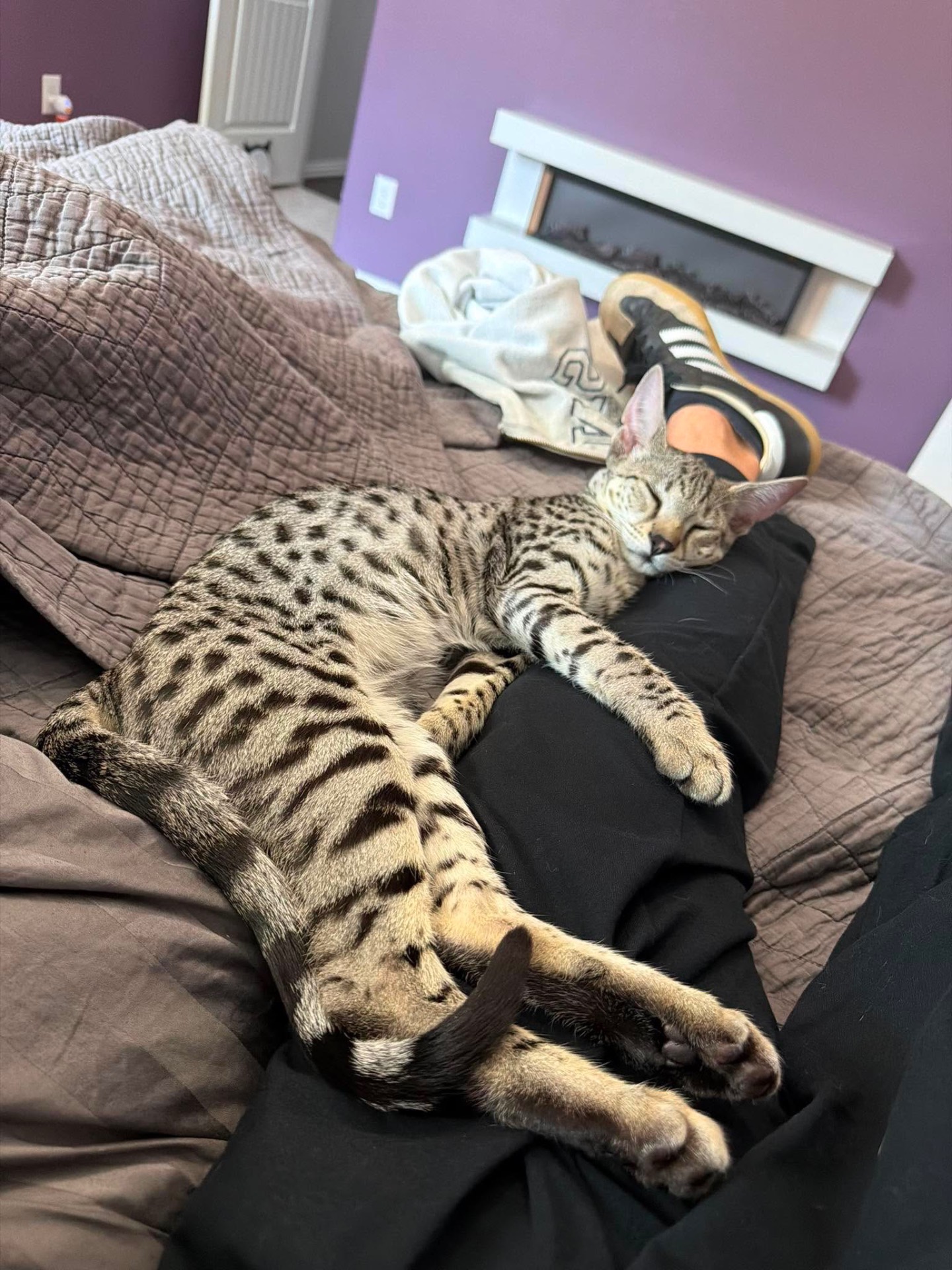 Luna asleep against one of her people