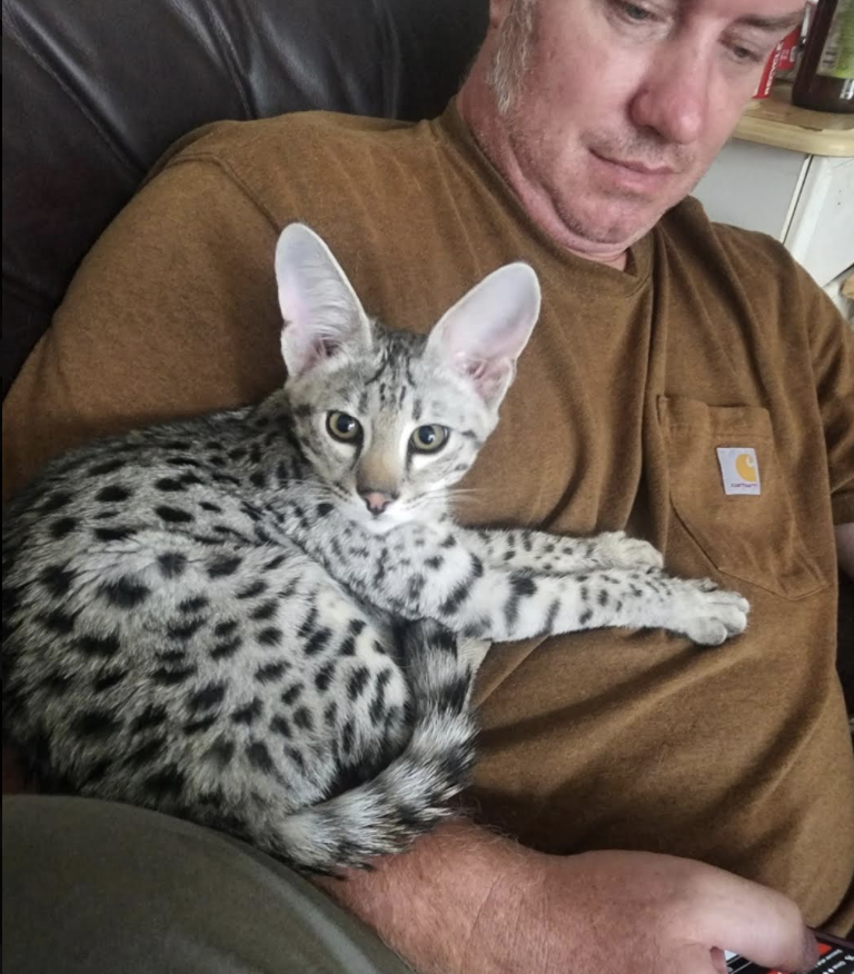 Storm resting on his dad's chest