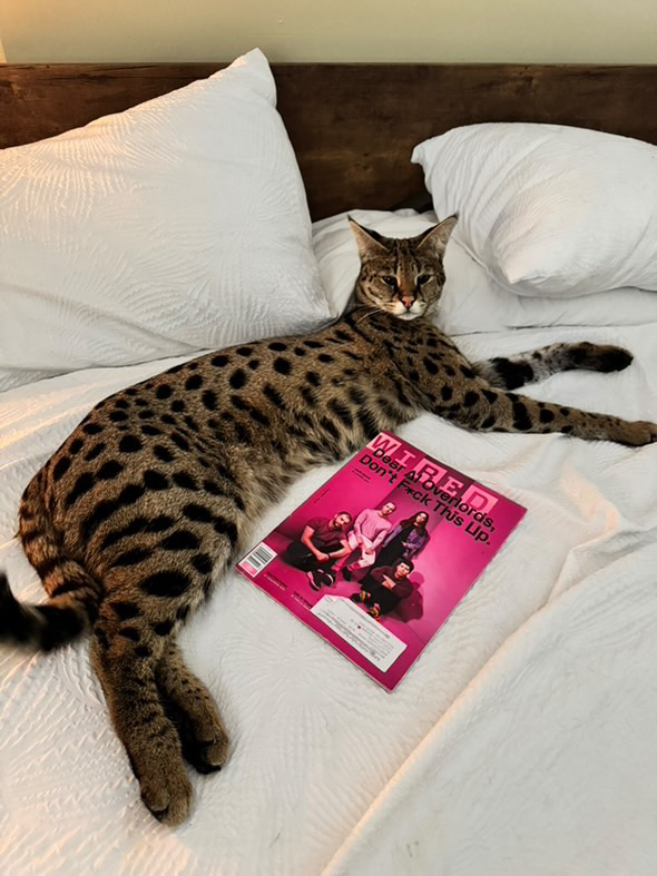 Odin stretched full length across the bed